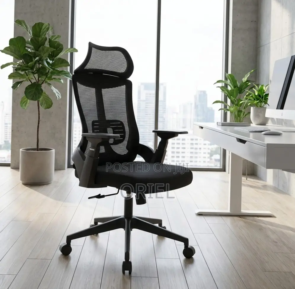 Orthopedic Office Chair : Office Staff Working Chair