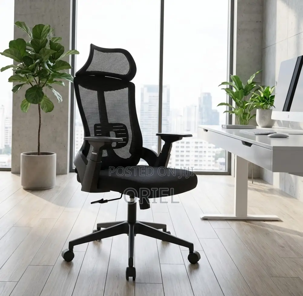 Orthopedic Office Chair : Office Staff Working Chair