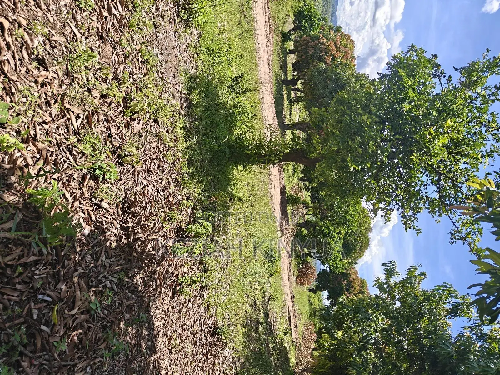 Zawadi Gardens Makuyu-Mananja PHS 4