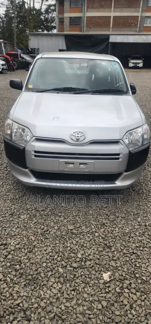 Toyota Probox 2019 Silver