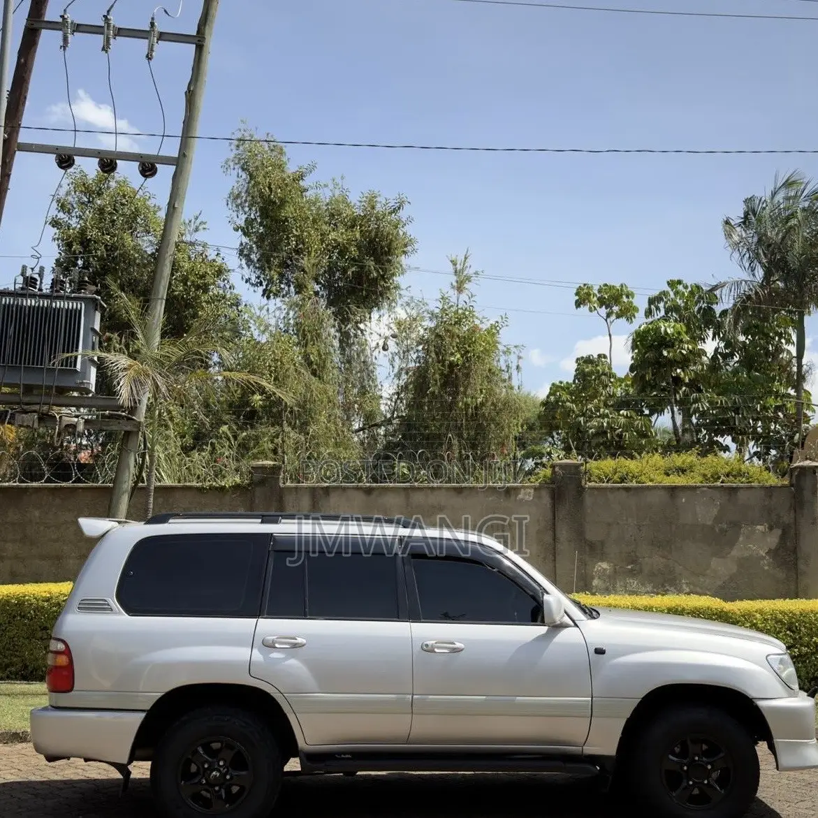 Toyota Land Cruiser 2003 Brown