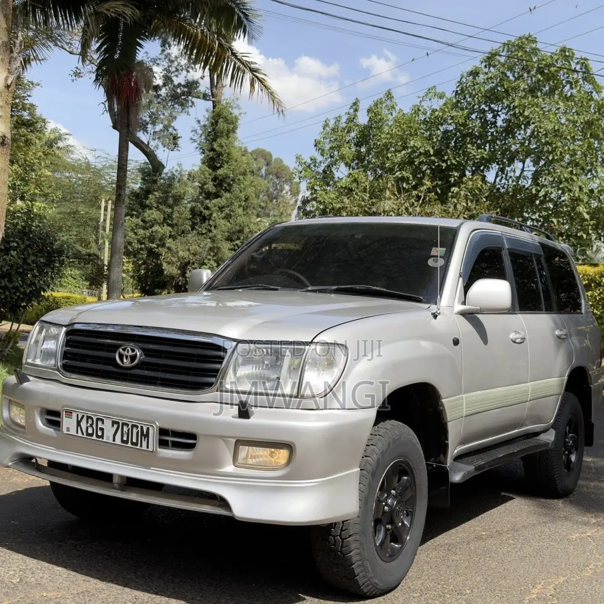 Toyota Land Cruiser 2003 Brown