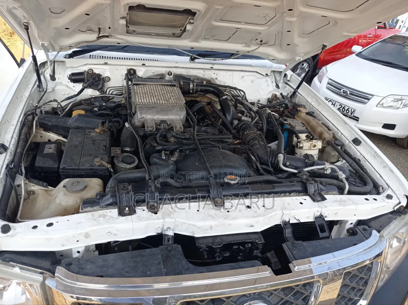 Nissan Pick-Up 2016 White