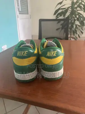 Nike Mens Brazil Dunks