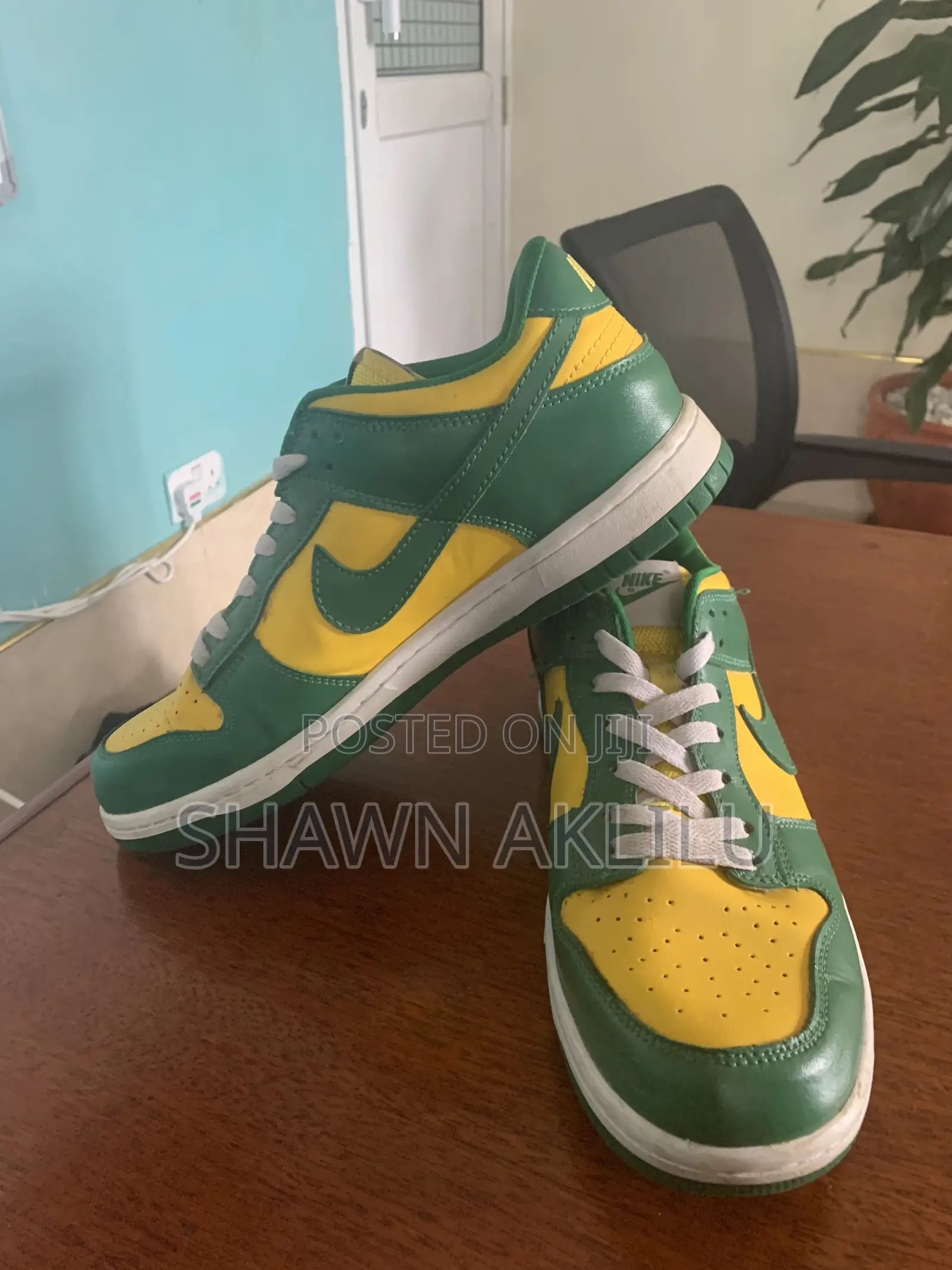 Nike Mens Brazil Dunks