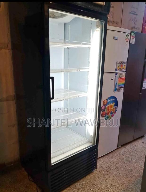 Specious 600litres Commercial Display Fridge