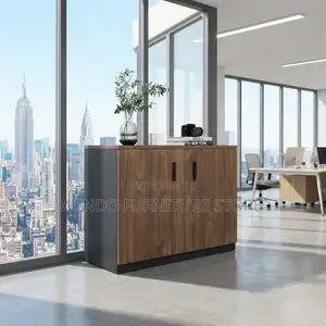 Office Cabinet; Two Doors Executive Lockable Credenza Storage Cabinet