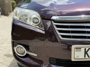 Toyota Vanguard 2011 Purple