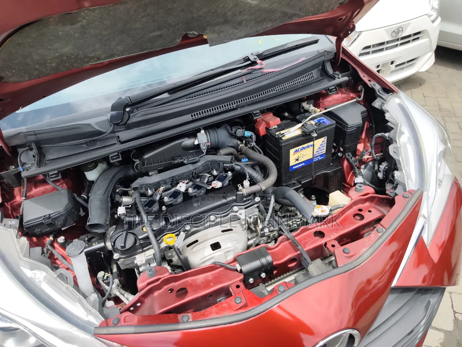Toyota Vitz 2019 Red