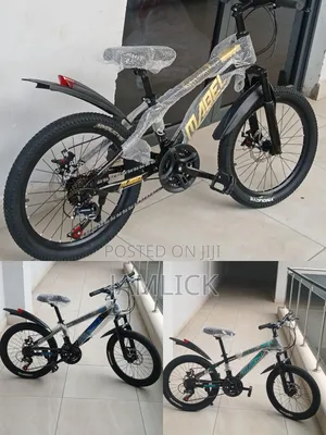 20 Inch 21-Gear Bicycle —Gn