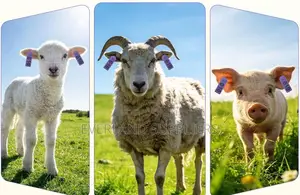 Weatherproof-Style Livestock Identification Slim Tags-Numbered