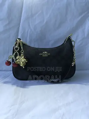 Coach Bags
