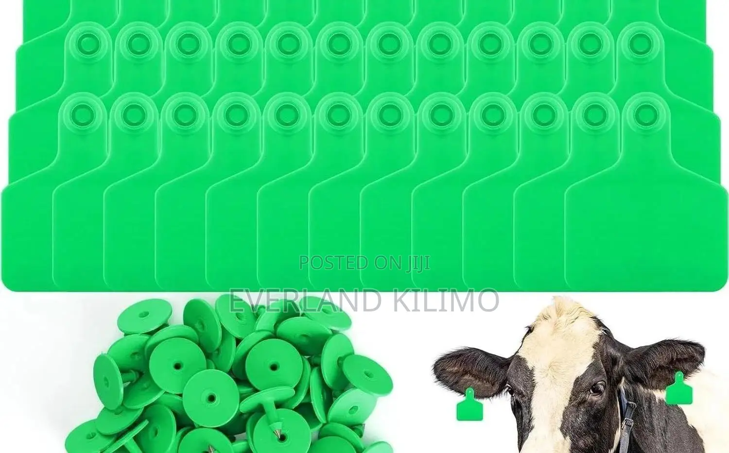 High-Visibility Cattle Medium Ear Tags - Plain