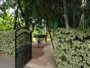 3bdrm Bungalow in Karen for rent