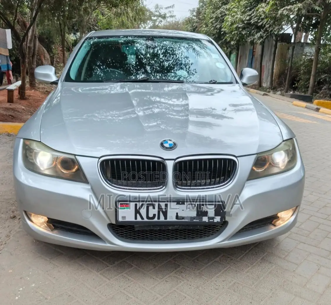 BMW 320i Sedan RWD 2011 Silver