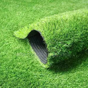 The Ultimate Family Turf Grass