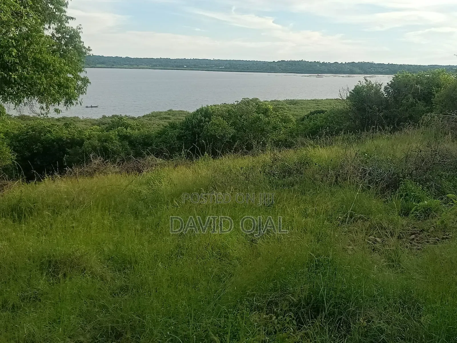 32 Acre for Sale Bondo