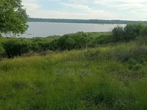 32 Acre for Sale Bondo