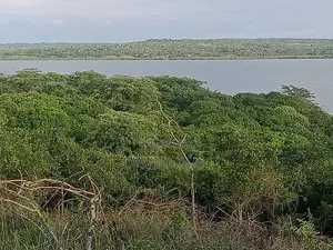 32 Acre for Sale Bondo