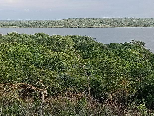 32 Acre for Sale Bondo - thumbnail 2