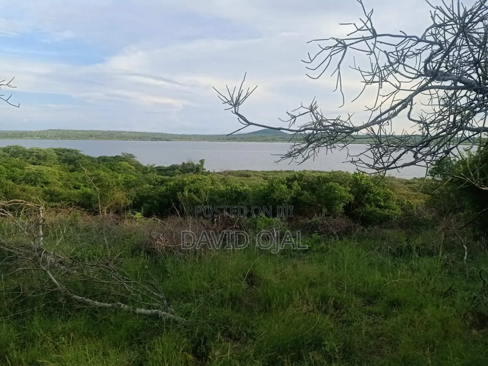 32 Acre for Sale Bondo