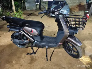 Captain CP150-10 2025 Brown