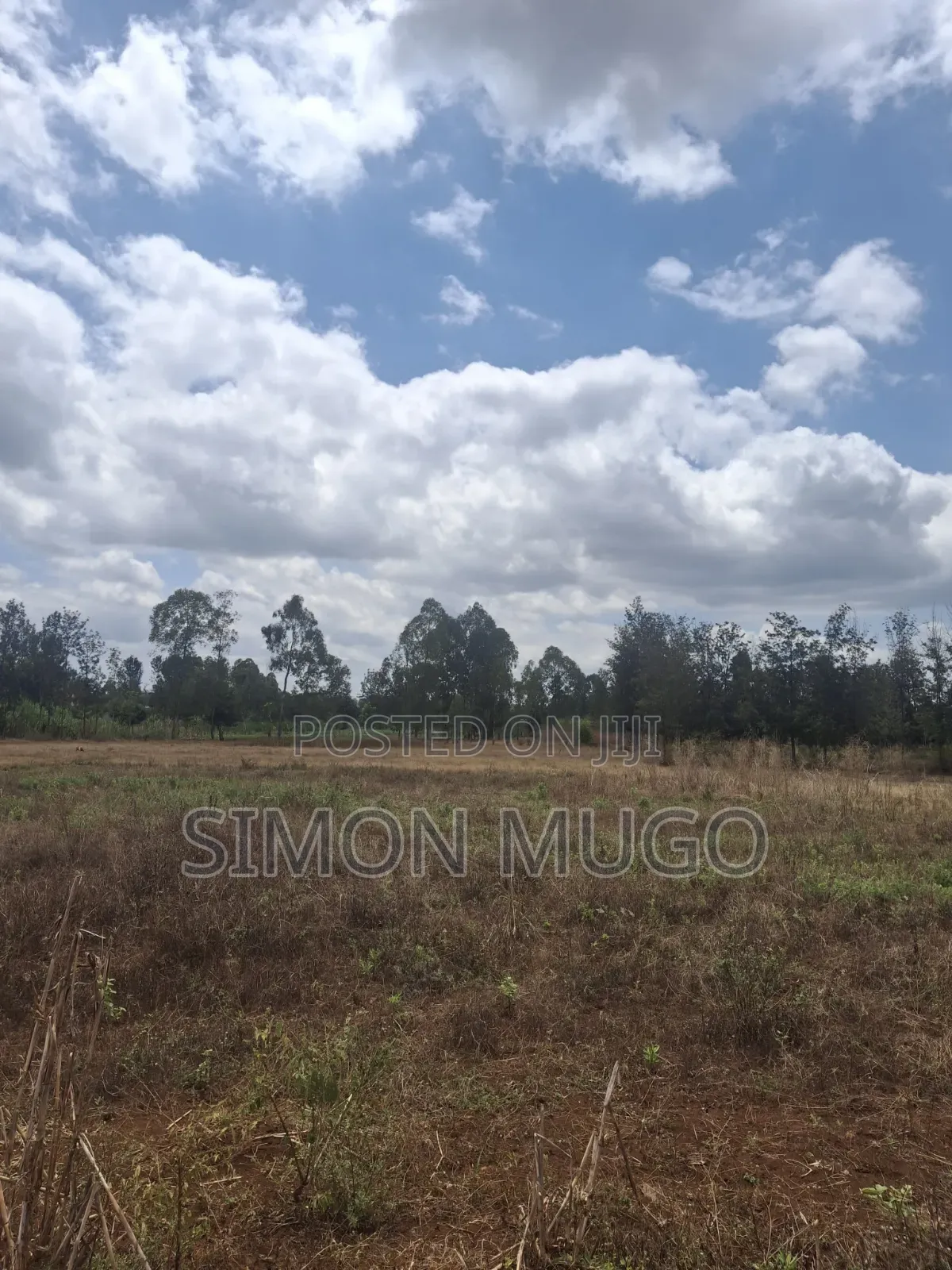 Sagana Township Commercial 3 Acres Fronting the Main Highway
