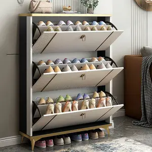Modern Shoe Storage Cabinet