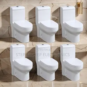 Factory Prices Durable Sawa One Piece Dual Flush Toilet Seats