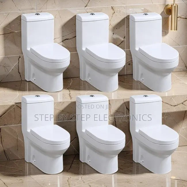 Factory Prices Durable Sawa One Piece Dual Flush Toilet Seats