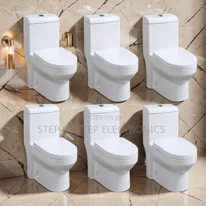 Factory Prices Modern Sawa One Piece Dual Flush Toilet Seats