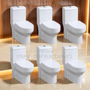 Factory Prices Ceramic Sawa One Piece Dual Flush Toilet Seats