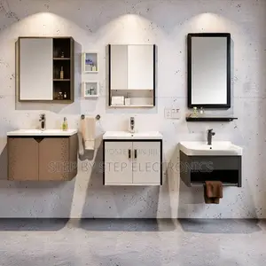Adjustable Shelves Wall Mounted Bathroom Vanity Cabinet With Mirror