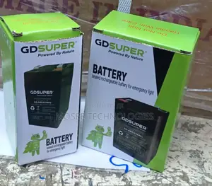 GDSUPER Heavy-Duty Sealed Rechargeable Power Battery