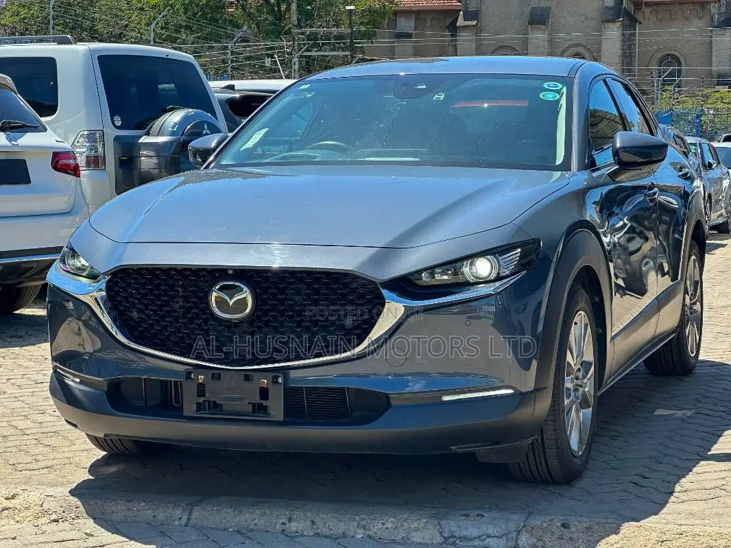Mazda CX-30 2020 Gray