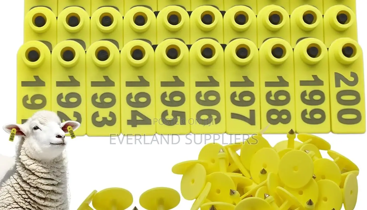 Farm Sheep Management Ear Slim Tags - Numbered
