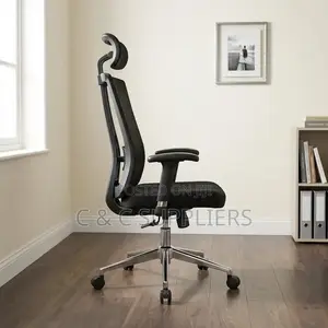 Executive Mesh Chair With Lumber Support.