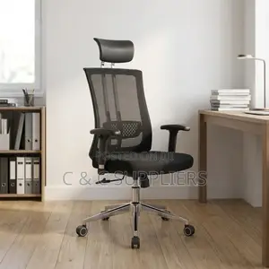 Executive Mesh Chair With Lumber Support.