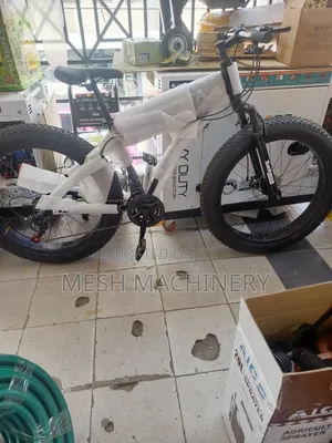 Best Quality Fat- Tire Bicycle/E-Bike