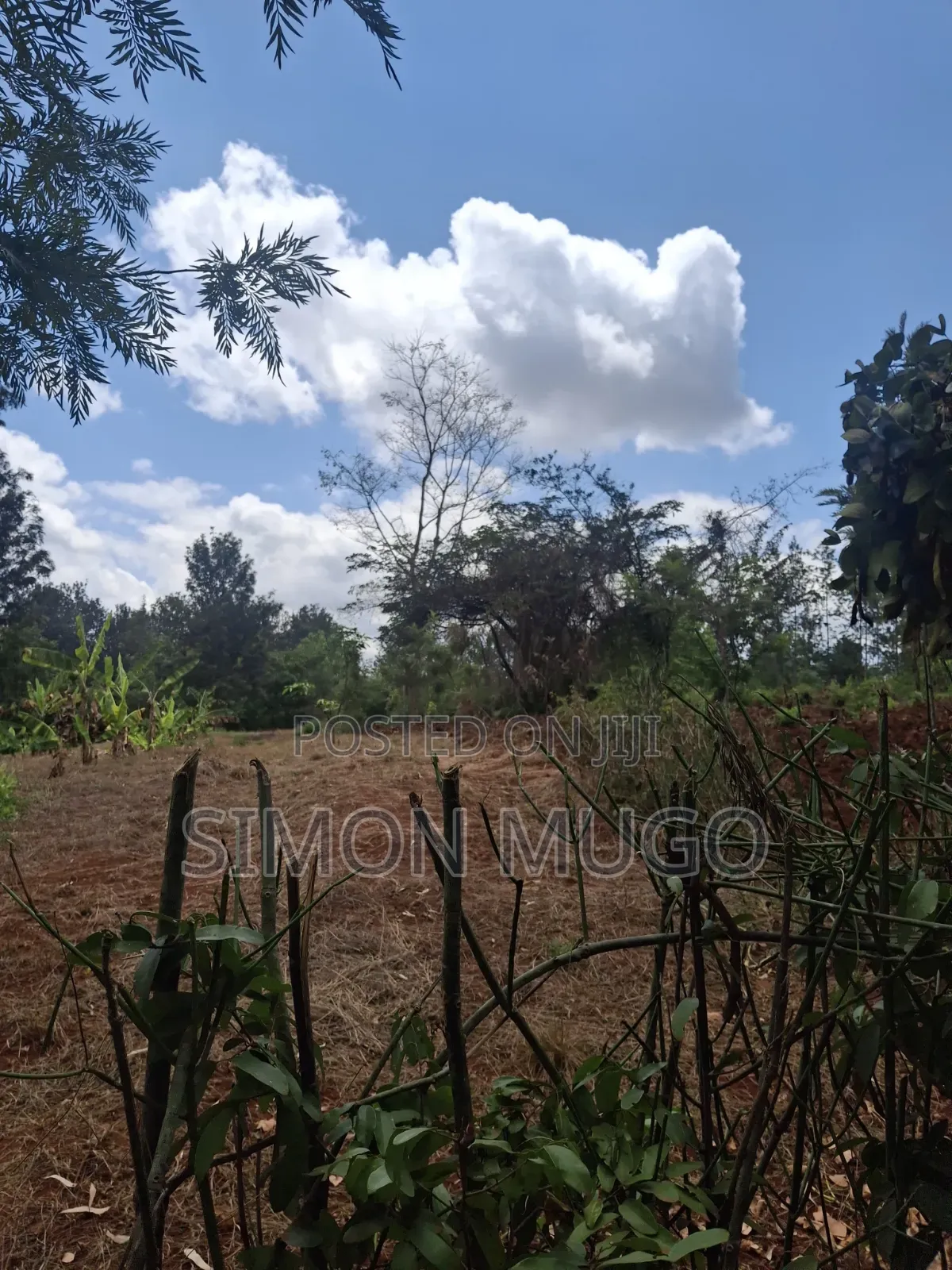Sagana Prime 5 Acres With a River Fronting