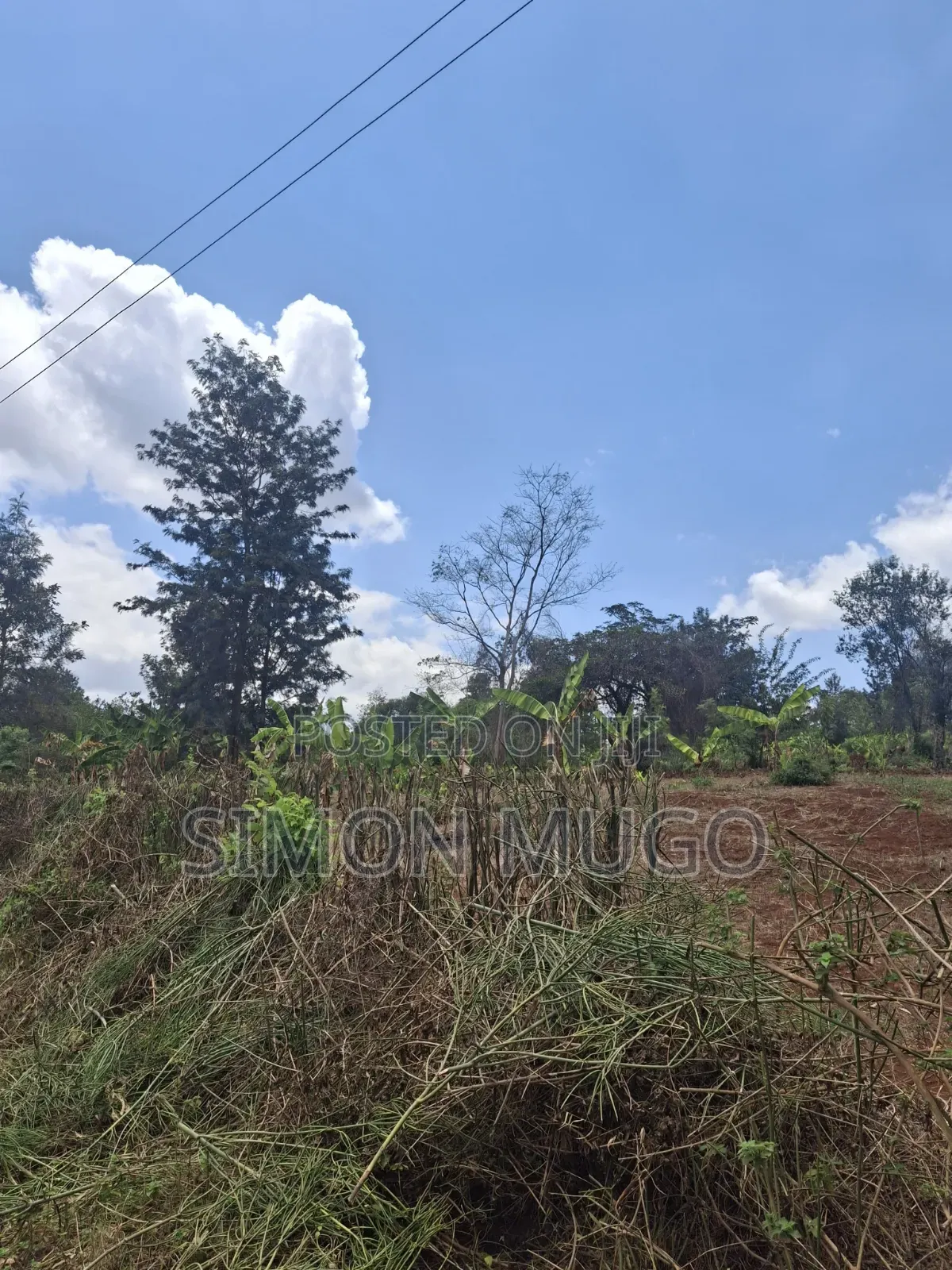 Sagana Prime 5 Acres With a River Fronting