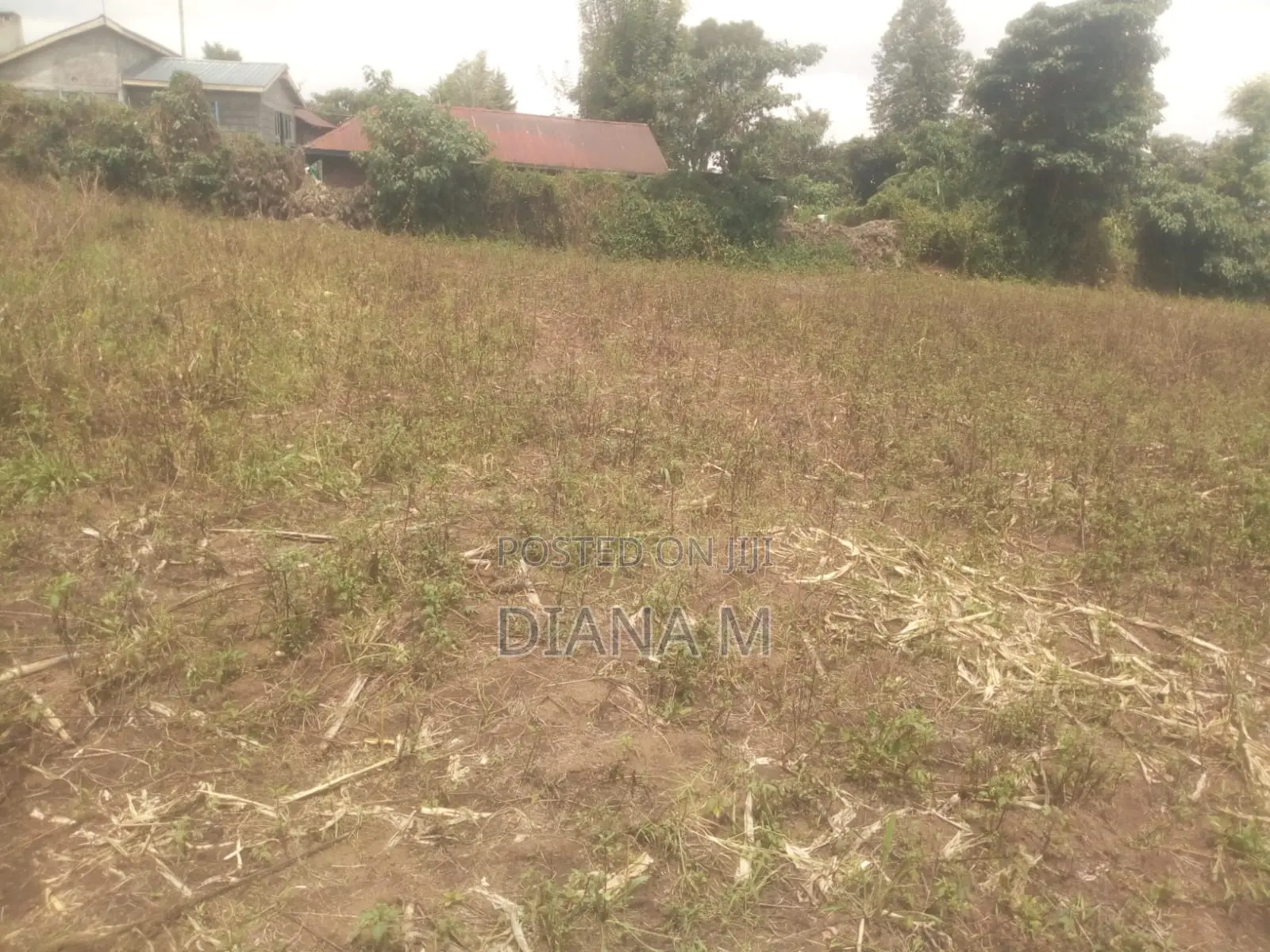 50*100 Plot on Sale in Mariguini, Nakuru