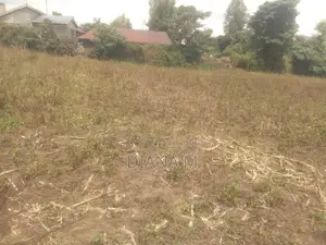 50*100 Plot on Sale in Mariguini, Nakuru