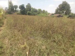50*100 Plot on Sale in Mariguini, Nakuru