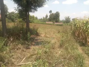 50*100 Plot on Sale in Mariguini, Nakuru