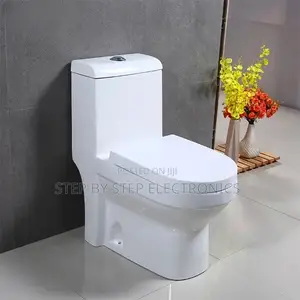 Factory Prices Quick Release Sawa One Piece Dual Flush Toilet Seats
