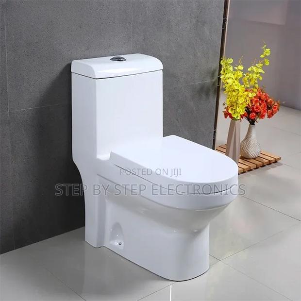Factory Prices Quick Release Sawa One Piece Dual Flush Toilet Seats