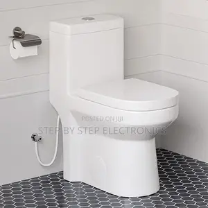 Factory Direct Prices Durable Sawa One Piece Dual Flush Toilet Seats