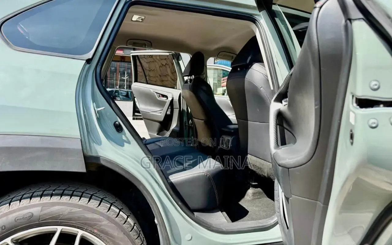 Toyota RAV4 Adventure 2019 Green