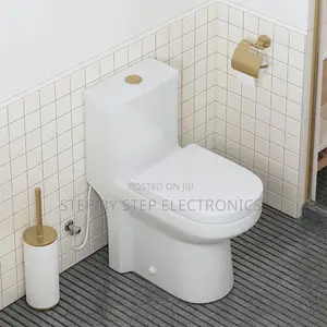 Direct Factory Prices Stylish Sawa One Piece Dual Flush Toilet Seats